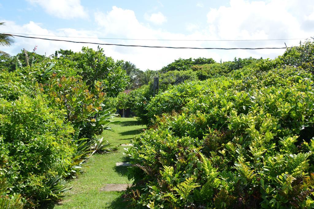 Casa Da Ilha Do Mel - Pousada De Charme Eksteriør bilde